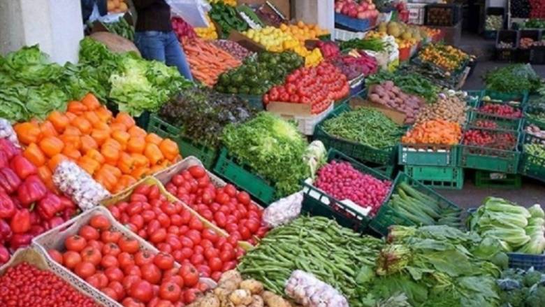 وزارة الزراعة تتابع ضبط التهريب: مصادرة أكثر من 17 طناً من الفواكه المهرّبة وتسليمها للجيش