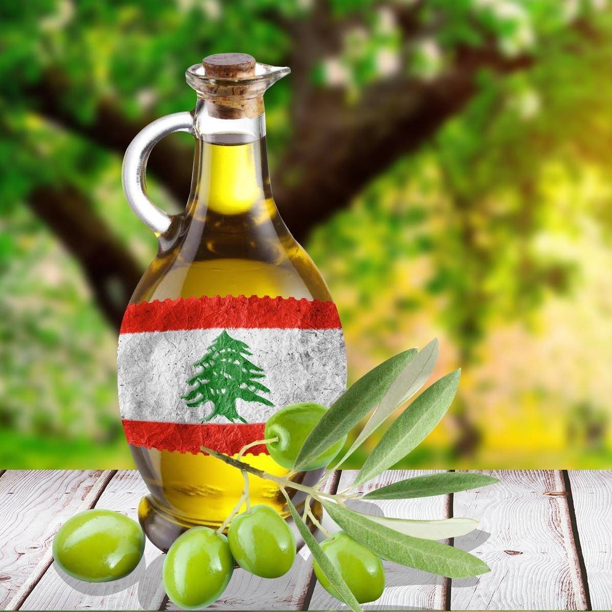 إلغاء الرسوم الجمركية على زيت الزيتون اللبناني في البرازيل