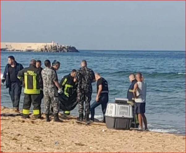 فاجعة على شاطئ رملة البيضاء.. العثور على جثة مشوّهة والتحقيقات جارية