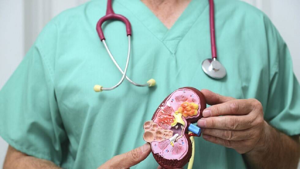 رحلة في أعماق الكلى... ما الذي يُسبّب السرطان؟