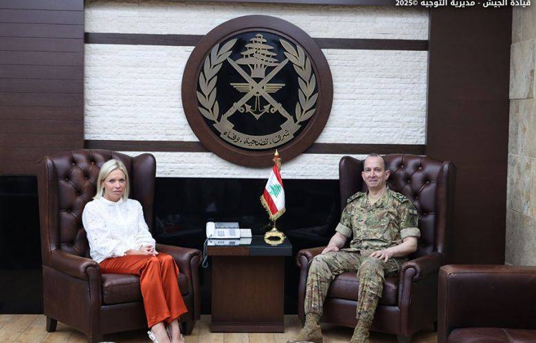 هيكل التقى بلاسخارت