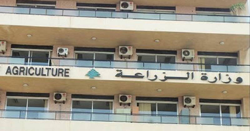 “الزراعة” تطلق مبادرة لدعم المزارعين بدعم أوروبي!