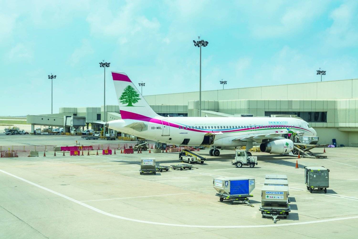 الحوت عن أسعار تذاكر السفر في لبنان: يحددها السوق