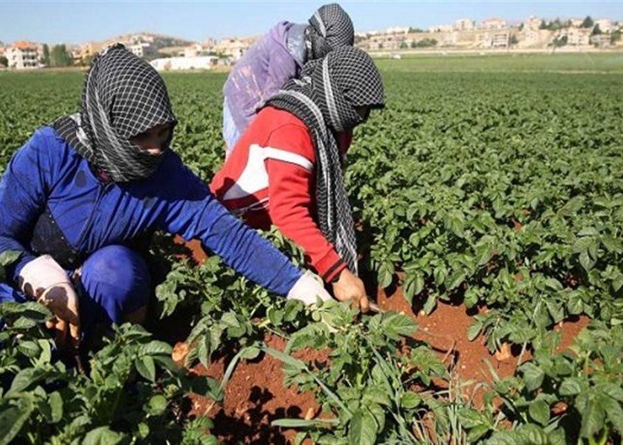 نقابة المزارعين في محافظة بعلبك الهرمل:  لإعطاء عمليات فرز الأراضي وضمها الأولوية