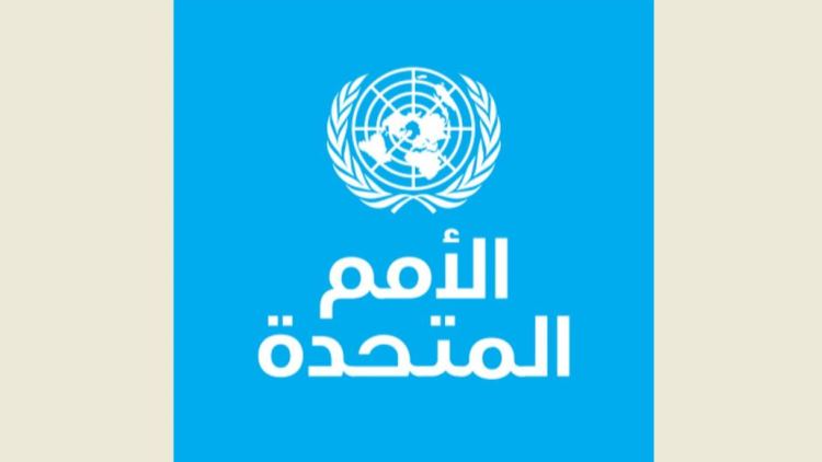 الأمم المتحدة: الكارثة في غزة تذكر بالمجاعة في إثيوبيا وبيافرا