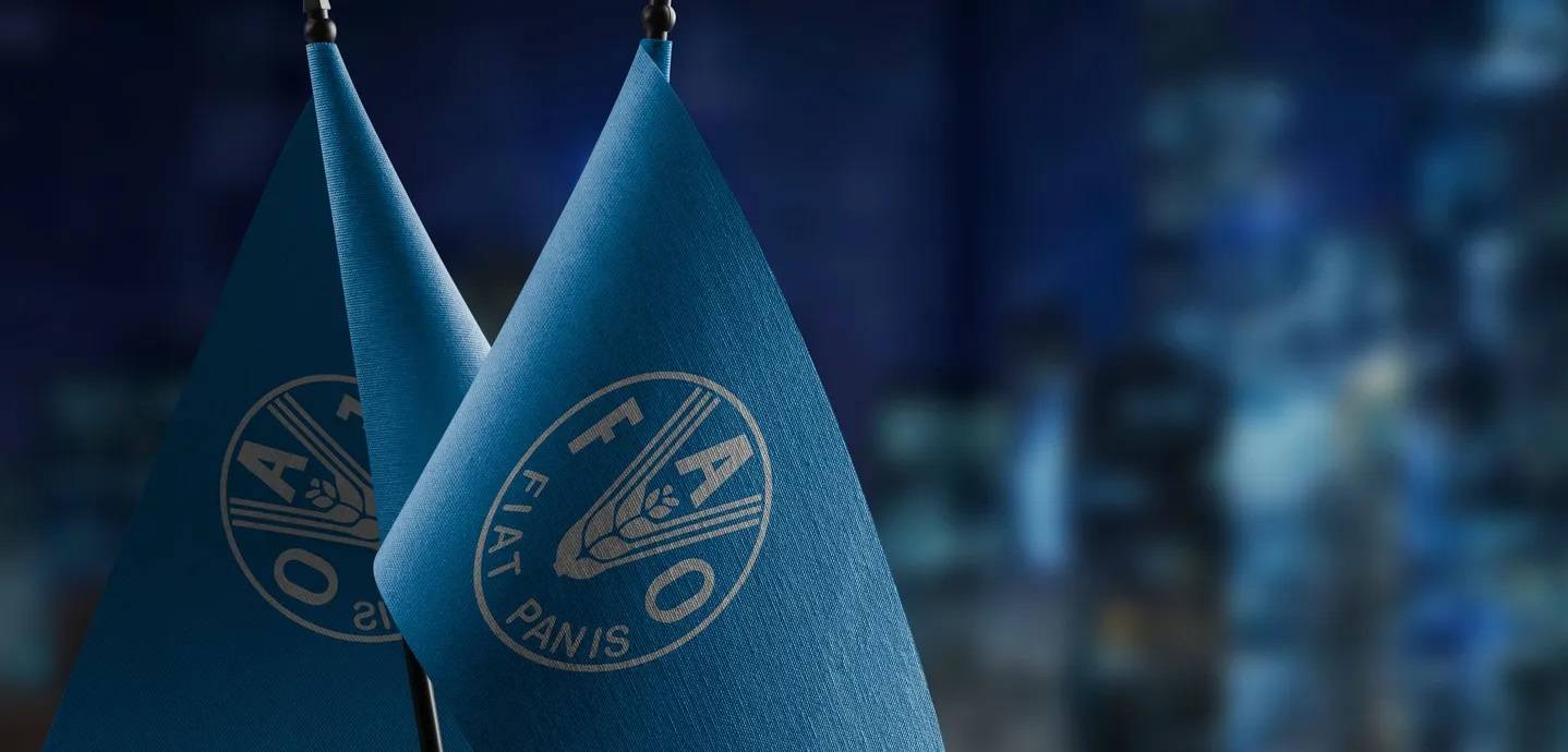 أسعار الغذاء تحلّق عالميًا... 