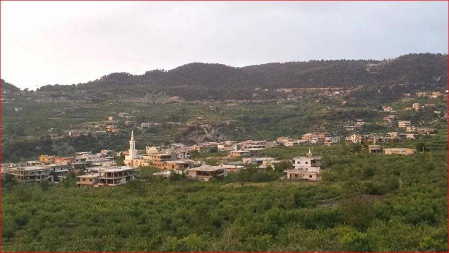شمال لبنان... رصاصة طائشة تصيب حاملاً وتقتل جنينها!