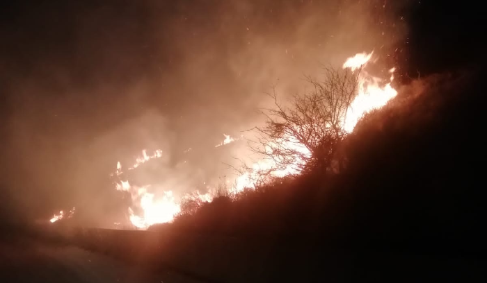 حريق كبير بين جزين ونيحا والدفاع المدني يحاول إخماده