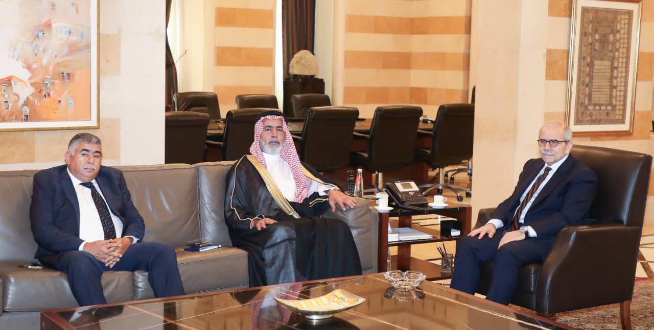 إستقبالت سلام في السراي