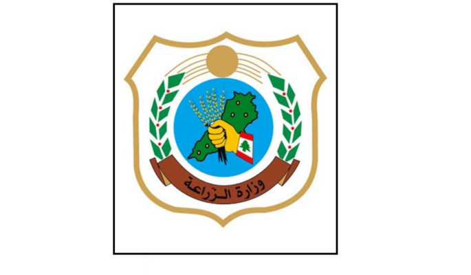 وزارة الزراعة: اليباس في الغابات ظاهرة لا تهدّد حياة الأشجار على المدى الطويل