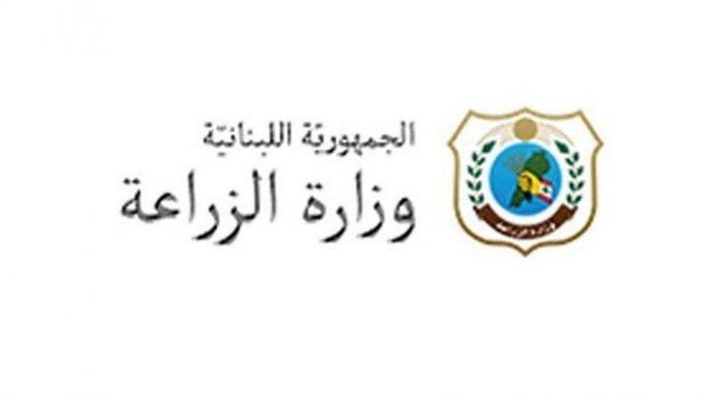 الزراعة تطلق حملة جوية لمكافحة آفة تفتك بصنوبر لبنان