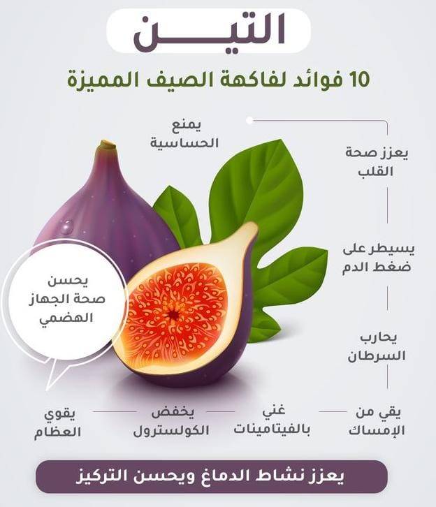 التين في موسمه... والديار تلخص فوائده بالإنفوغرافيك