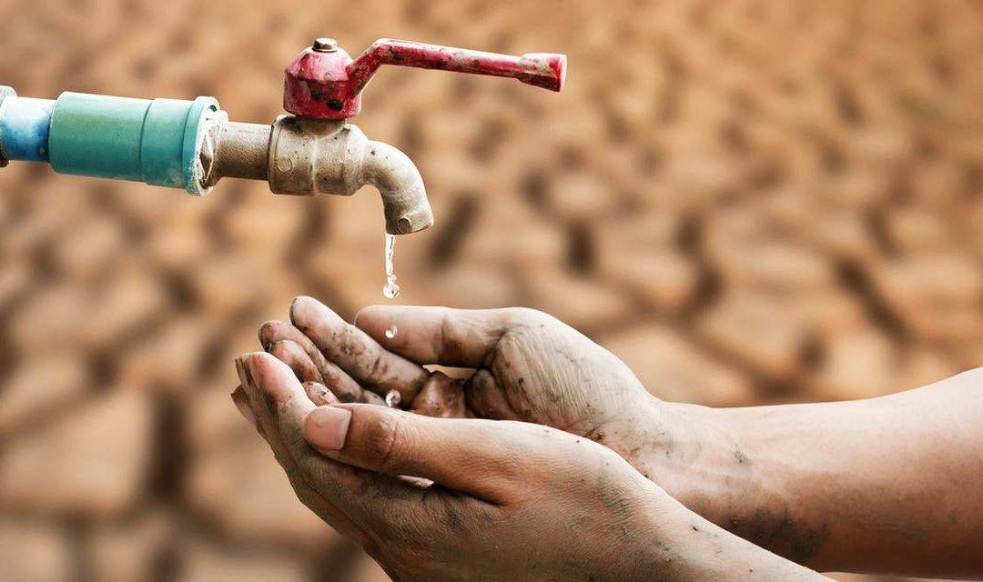 ألأبحاث الزراعية: لإعلان حال طوارئ مائية
