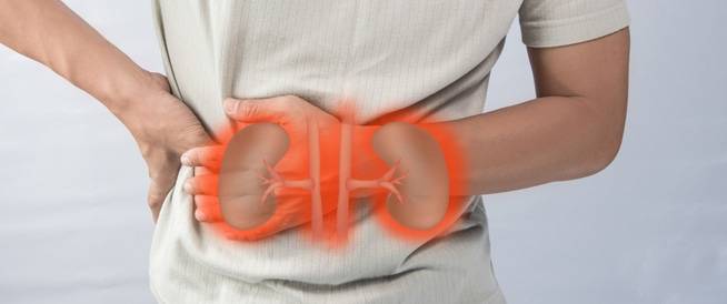 الفشل الكلوي المزمن: كيف يؤثر في الجسم ووظائفه الحيويّة؟