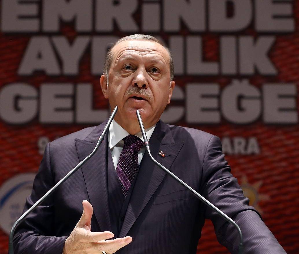 اردوغان: عرضنا على ترامب رؤيتنا للحل في غزة