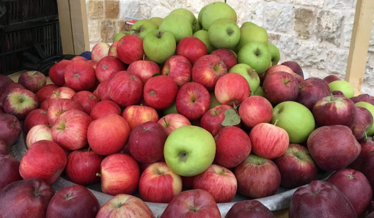 مهرجان مواسم التفاح في بسكنتا