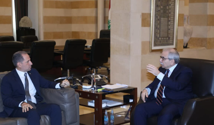 سلام يلتقي عدة وفود والجميل: لحسم النقاش حول مشاركة المغتربين في الاقتراع