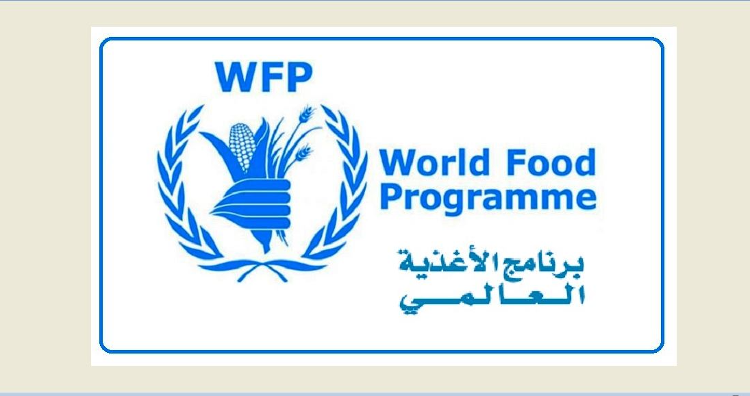 الأمم المتحدة: 560 طنا من الغذاء تدخل غزة يوميا لكن هناك حاجة للمزيد