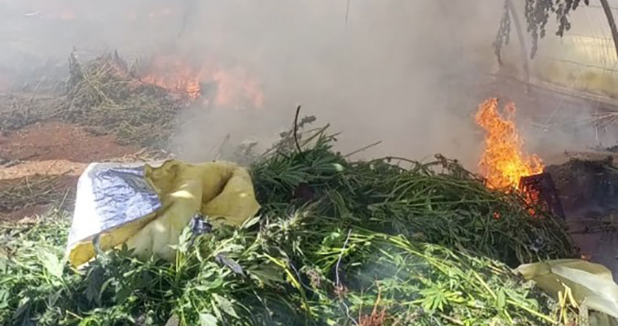 الجيش: إتلاف مساحة مزروعة بالحشيشة
وتوقيف مُواطنين لتورّطهما في الإتجار بالمخدرات