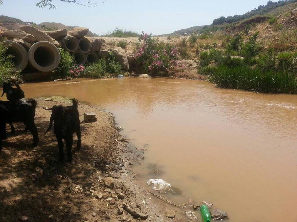 لبنان يطالب الأمم المتحدة بمعالجة تلوث نهر الليطاني