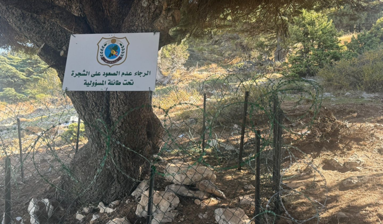 بعد تسجيل حالات نفوق حيوانات
برّية… وزارة الزراعة تتحرّك