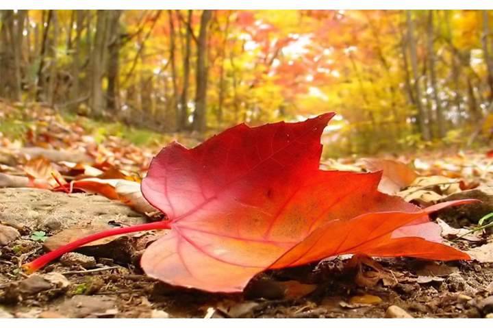 كيف سيكون طقس نهاية الأسبوع؟