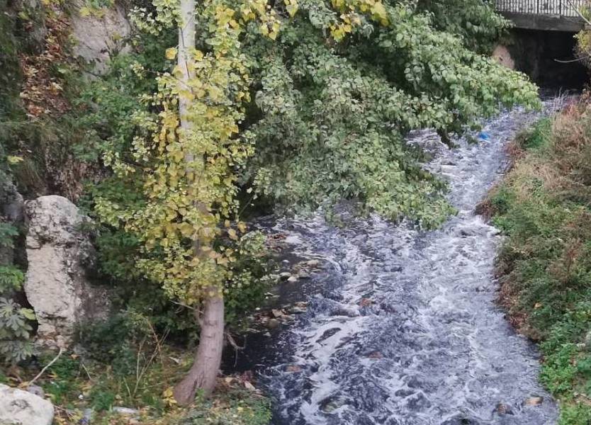 نهر البردوني في خطر: تسرب مياه ملوثة يضاعف المخاطر البيئية والزراعية في البقاع