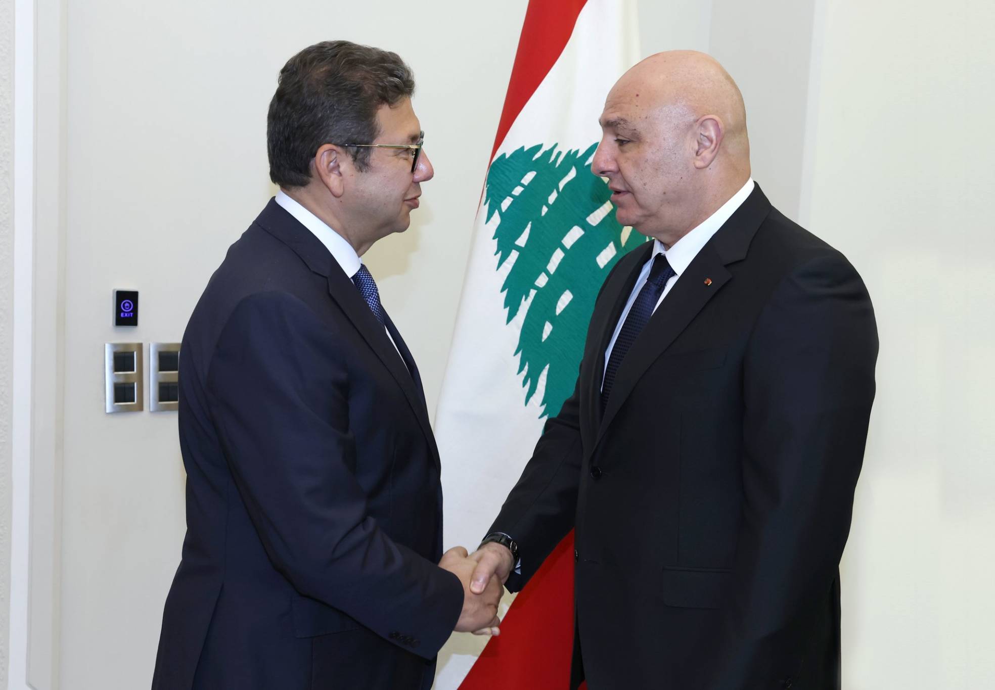 أفكار مصرية غير قابلة للتطبيق في لبنان
