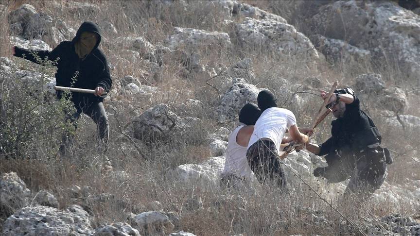 تسجيل 97 جريمة للمستوطنين في الضفّة الغربيّة خلال شهر تشرين الأول