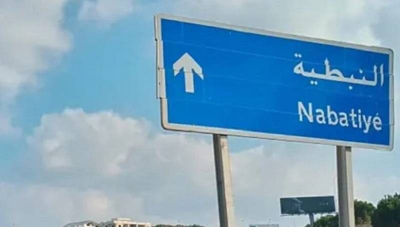 إنقطاع التيار الكهربائي عن 30 بلدة في النبطية