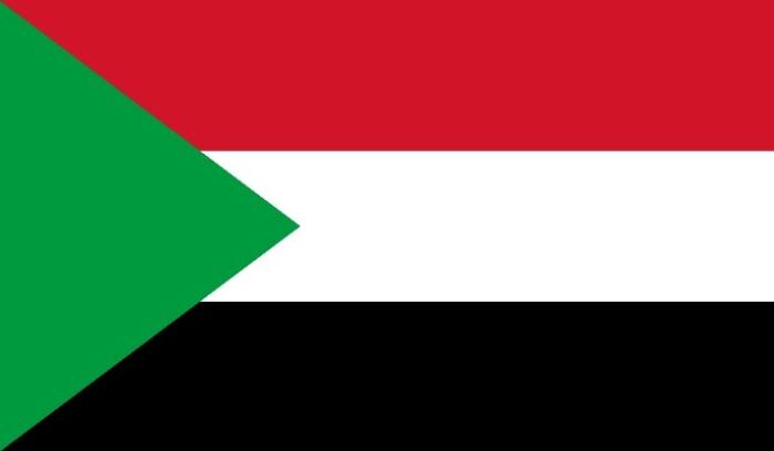 قوات الدعم السريع تؤكد استجابتها لجهود التوسط الدولية لإنهاء الحرب