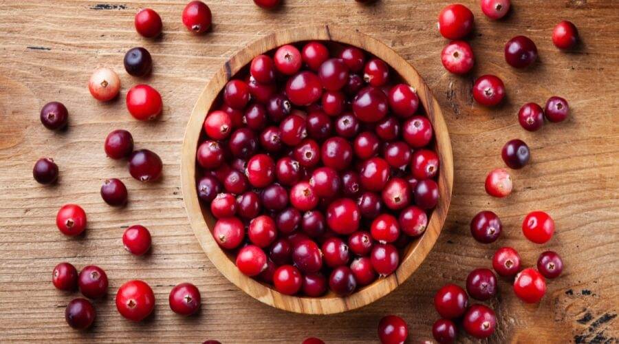 دراسة إيطالية: التوت البري يعزز صحة العظام!