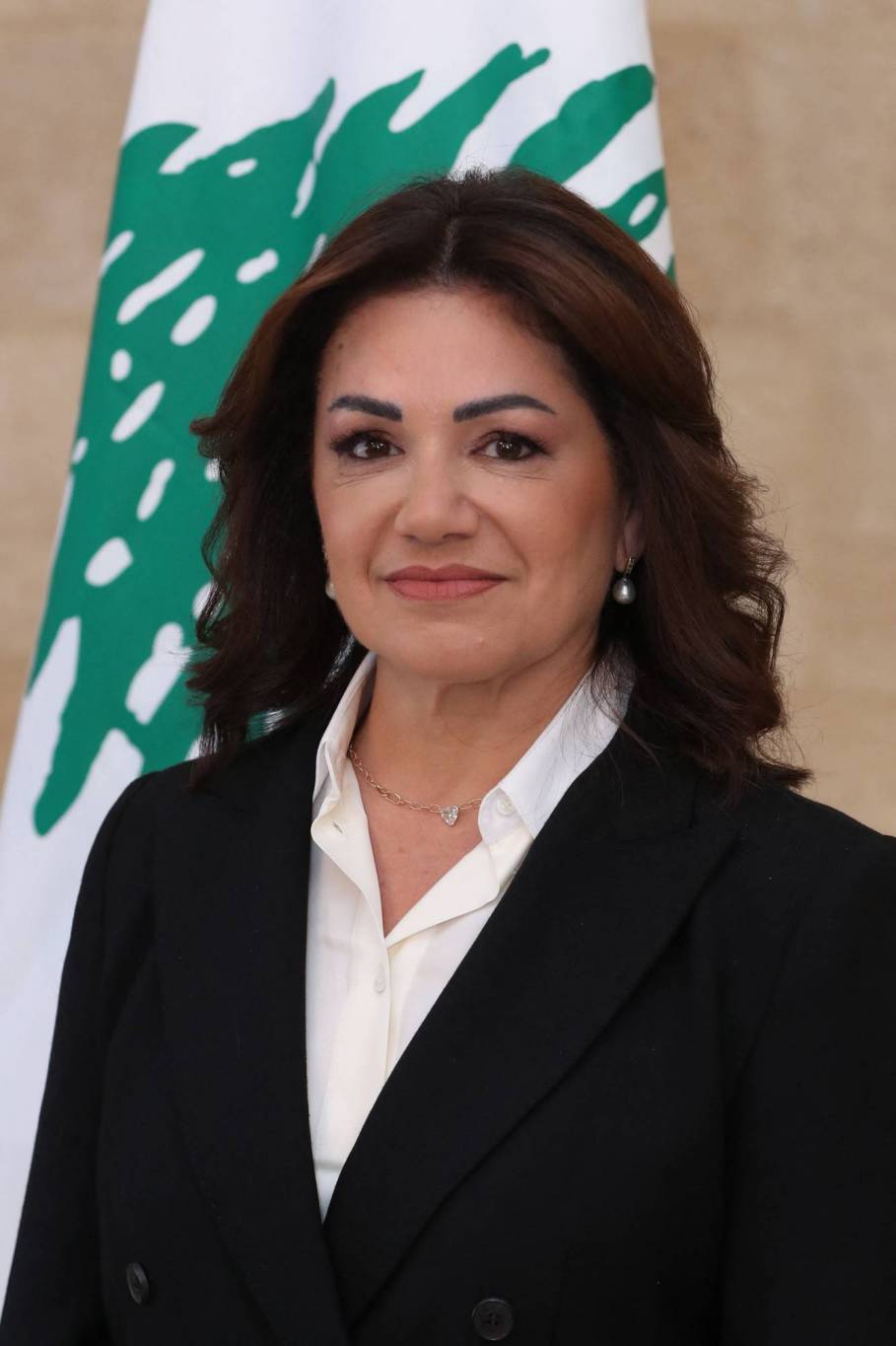 وزارة الشؤون الاجتماعية تتحوّل إلى "وزارة التنمية الاجتماعية"