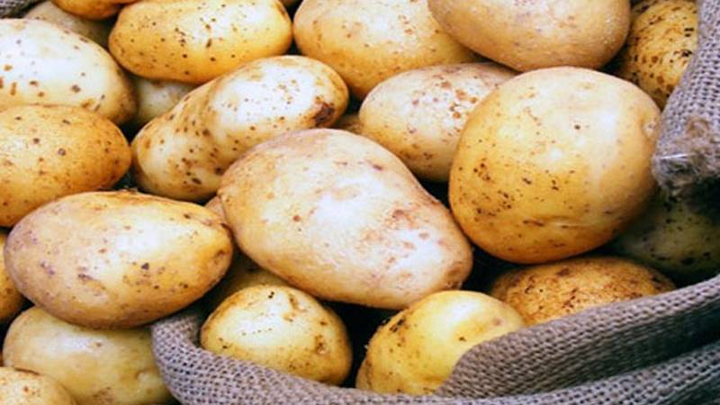 وزارة الزراعة تُطلق حملة دعم للمزارعين