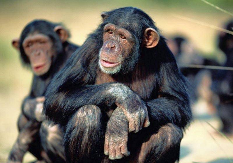 قرار أميركي مفاجئ بشأن 