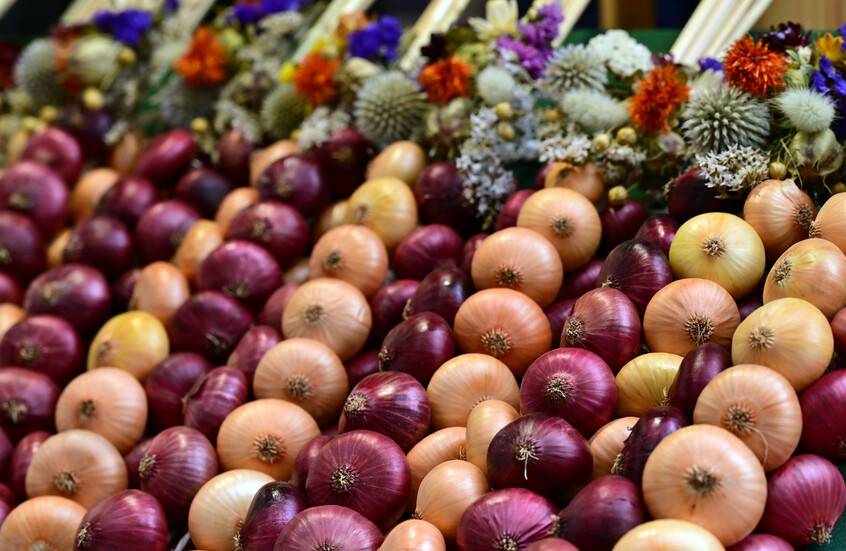 لماذا وكيف ينبغي تناول البصل يوميا؟