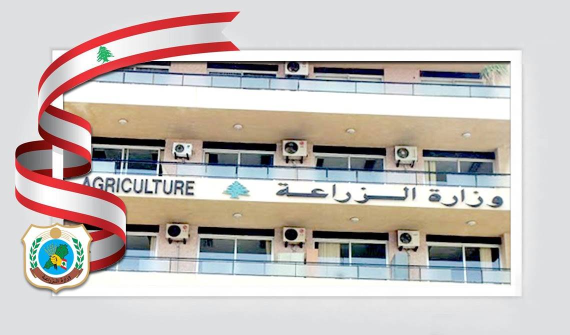 وزارة الزراعة: الحمى القلاعية لا تنتقل إلى الإنسان والإجراءات مستمرة لاحتواء المرض