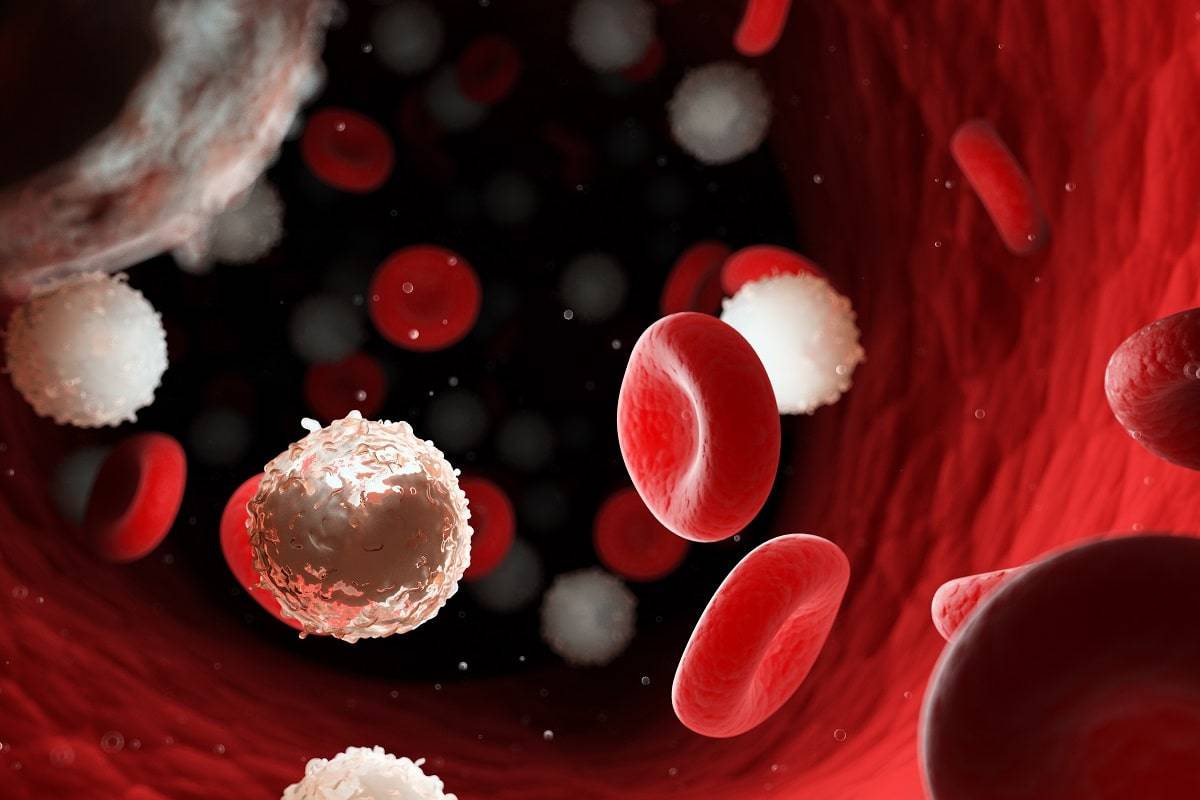 أمل جديد لمرضى سرطان الدّم