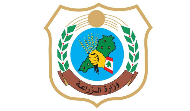 وزارة الزراعة أكدت سلامة الإجراءات الصحية المتعلقة بباخرة الأبقار المصرية