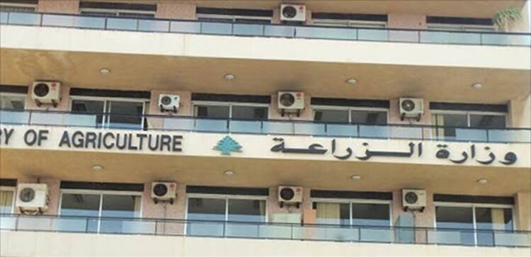 وزارة الزراعة تتحرك لمواجهة الحمّى القلاعية