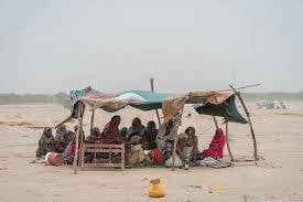 السودان: نزوح 13 مليون شخص جراء الحرب