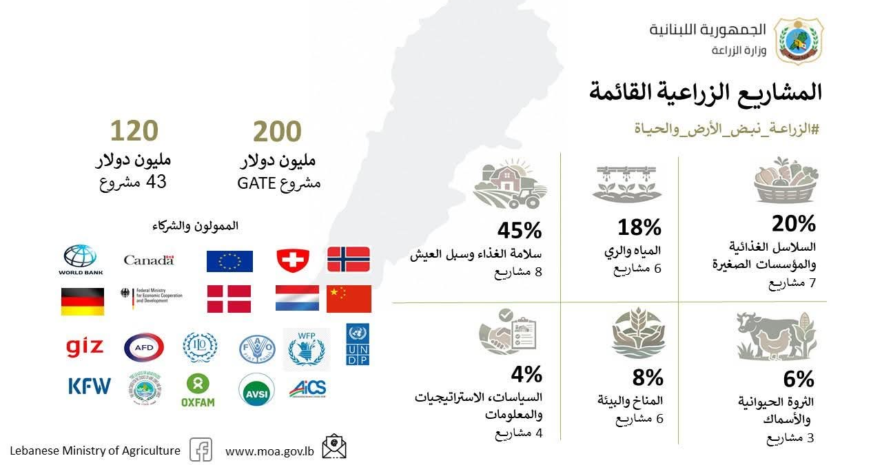 وزارة الزراعة: مشاريع دعم ألقطاع الزراعي
بلغت كلفتها 320 مليون دولار خلال 10 أشهر