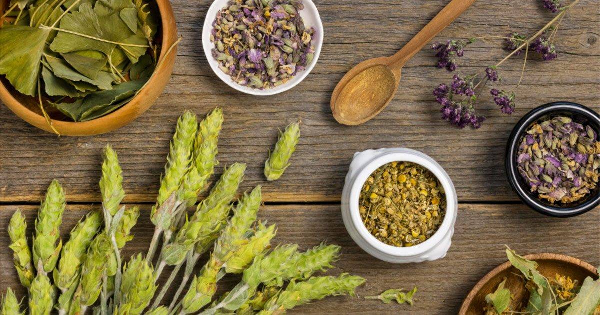 ما هي الأعشاب التي تحفّز الغدة الدرقية؟