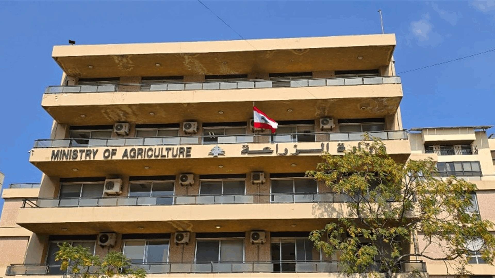 وزارة الزراعة بالأرقام: 744 مخالفة خلال الـ2025 في الأحراج