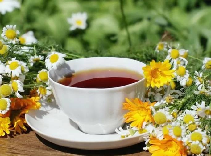 احذروا.. 7 أدوية لا يجب تناولها مع مشروبات الأعشاب