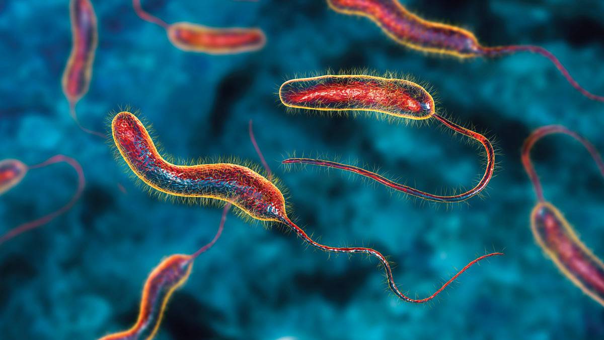 لقاح فموي جديد للكوليرا يُنهي المرحلة الأولى بنتائج واعدة