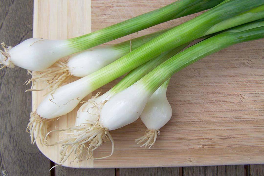 ما هي فوائد البصل الأخضر؟