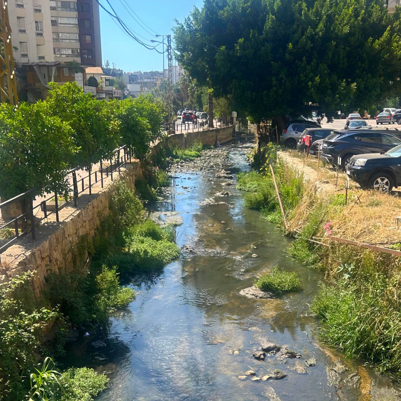 شريان الحياة في لبنان مهدد رغم وفرة الأمطار هذا الموسم
أبي راشد لـ