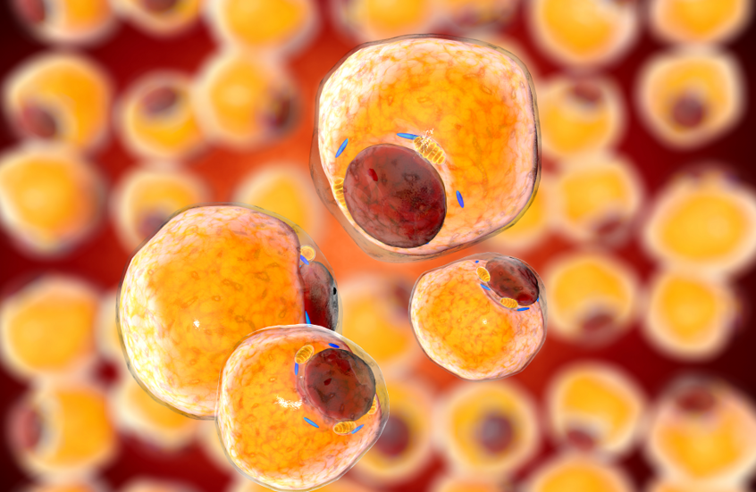 فقدان الوزن يعيد صحة الأنسجة الدهنية؟!