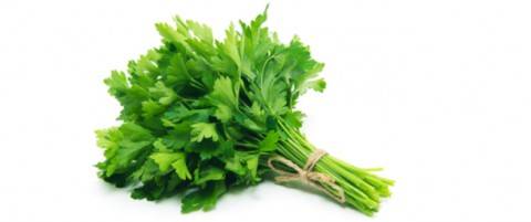 شرب البقدونس بعد الأكل: فوائد صحية مذهلة لجسمك